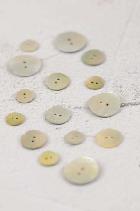 Shell Sew Thru 2 Hole White
