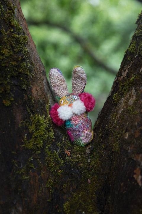 Rabbit