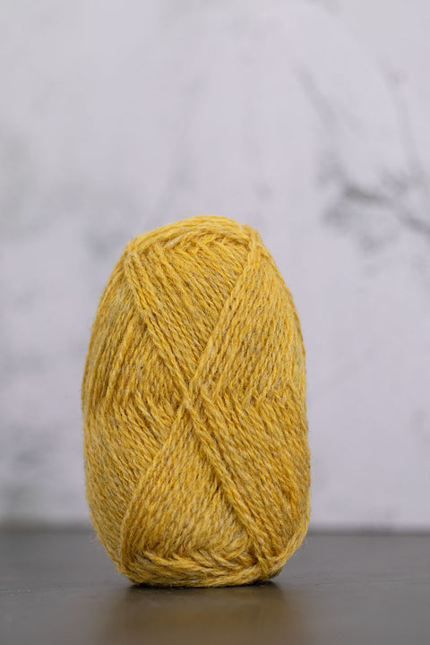 1160 Scotch Broom Spindrift