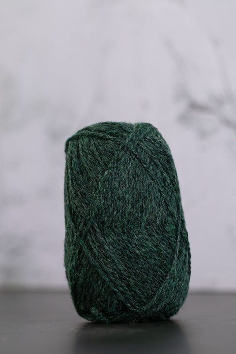 336 Conifer Spindrift