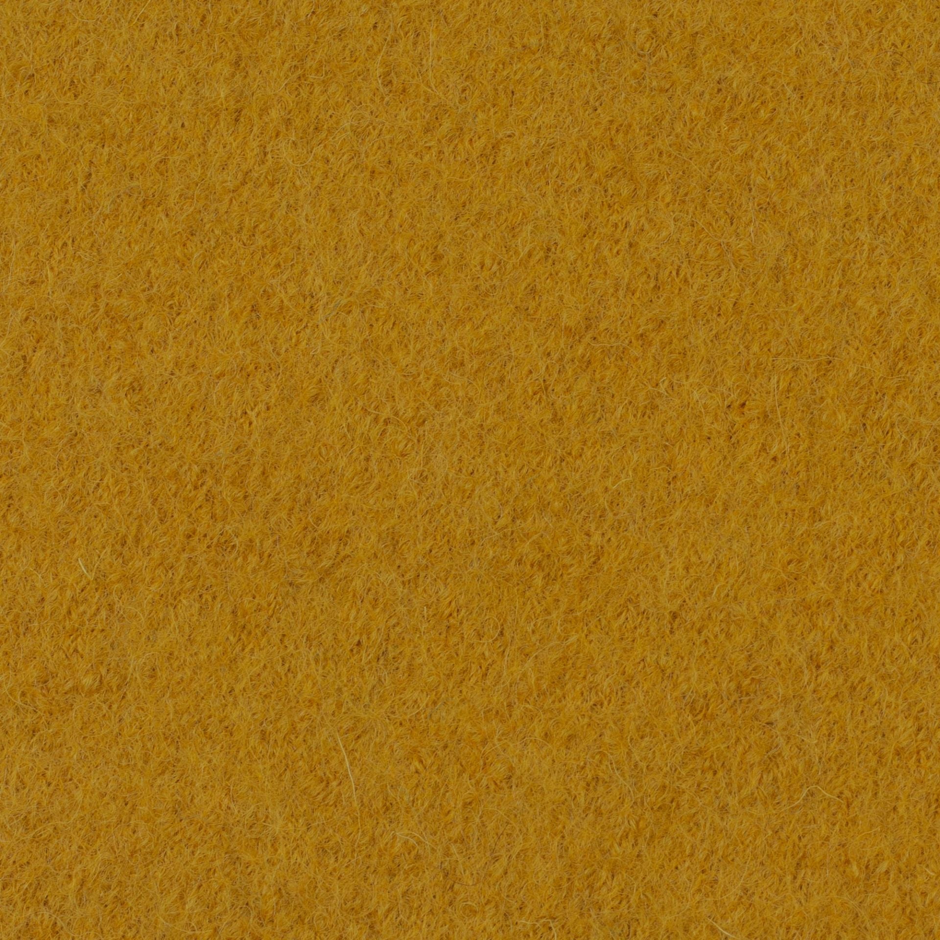 Boiled Merino Wool Plain Mustard Yellow