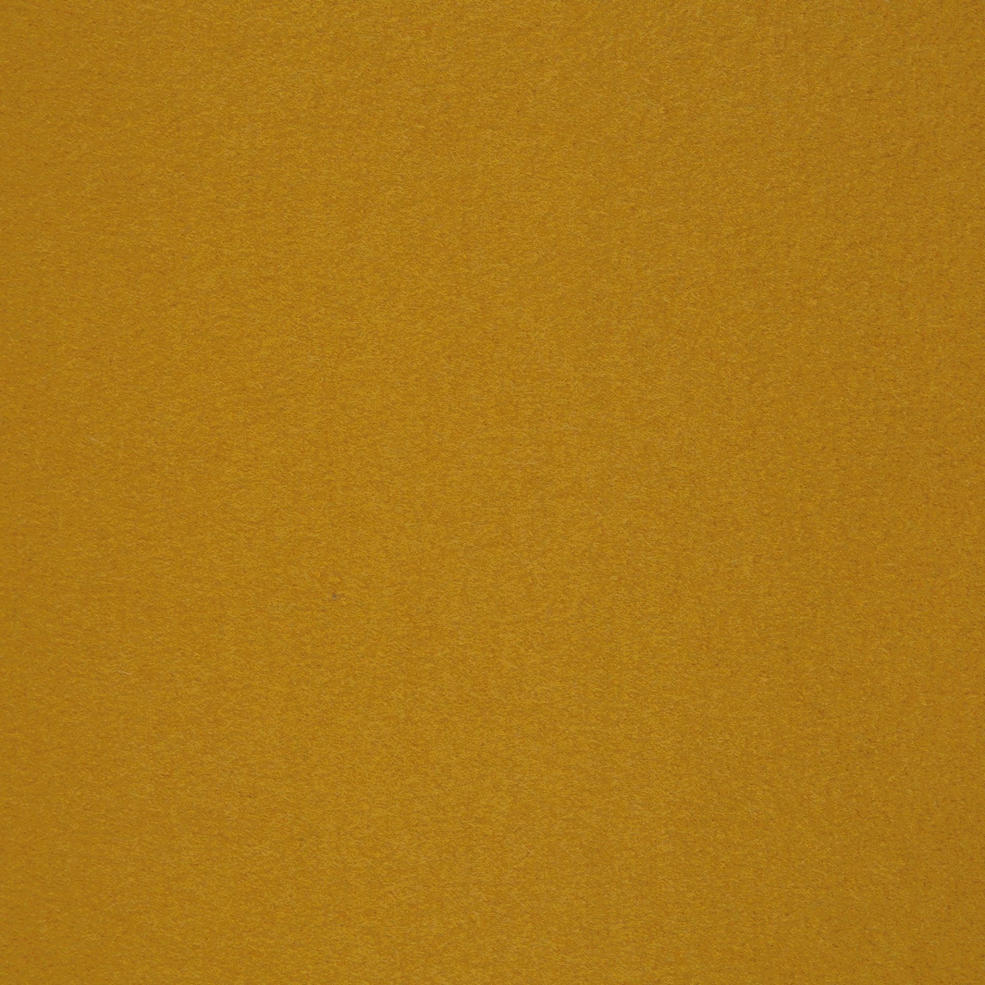 Boiled Merino Wool Plain Mustard Yellow