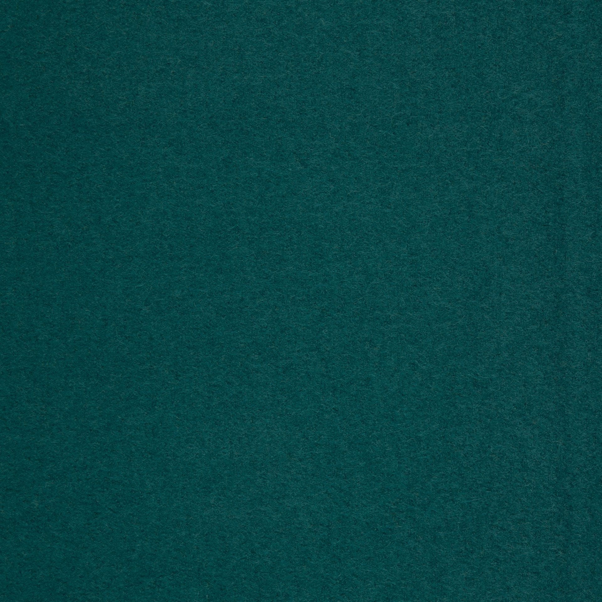 Boiled Merino Wool Plain Teal
