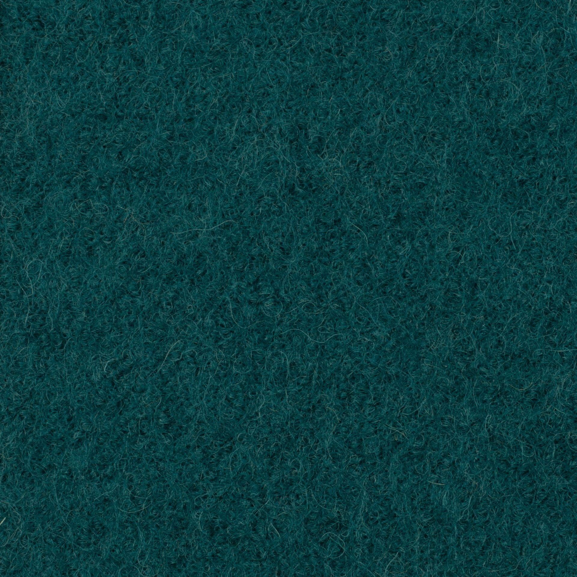 Boiled Merino Wool Plain Teal
