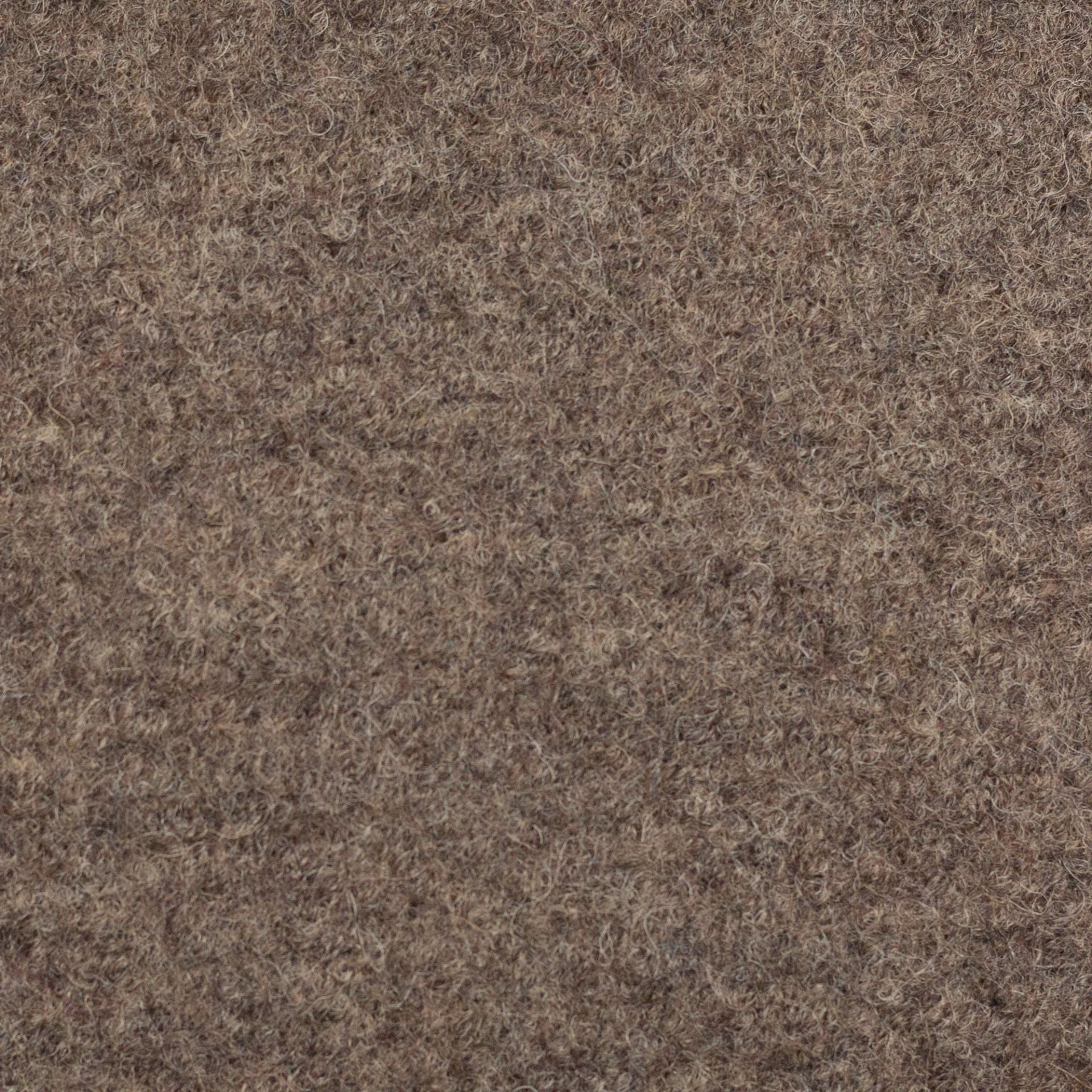 Boiled Merino Wool Melange Beige