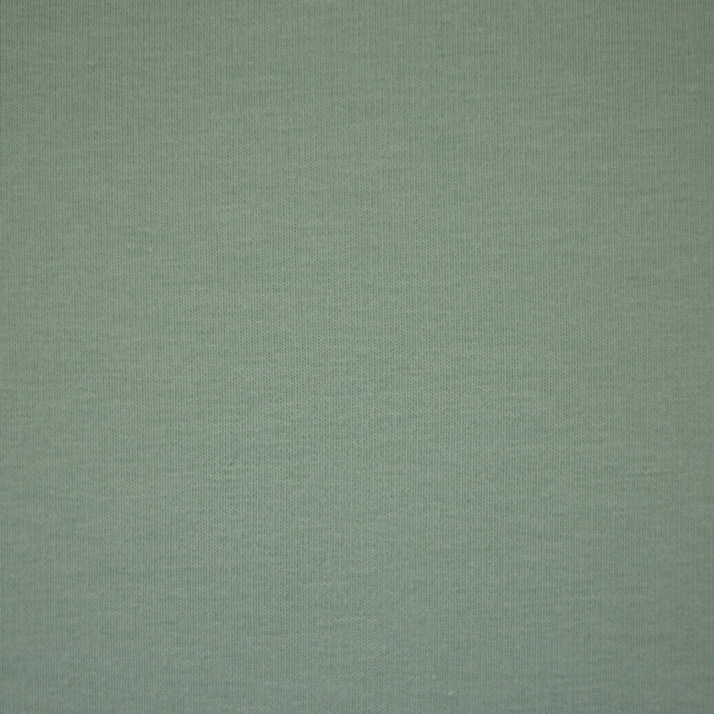 Vanessa Cotton Jersey Vintage Mint Green