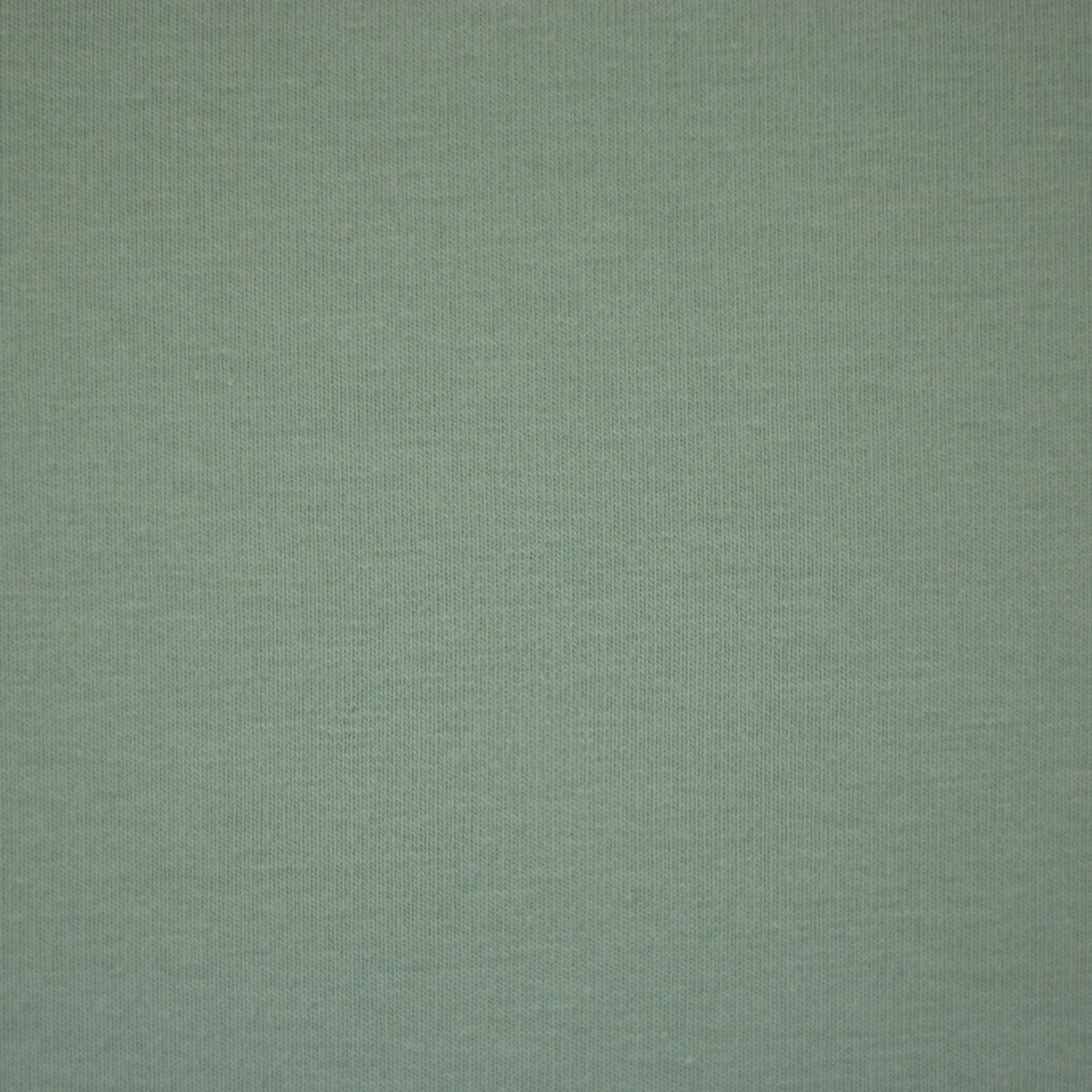 Vanessa Cotton Jersey Vintage Mint Green