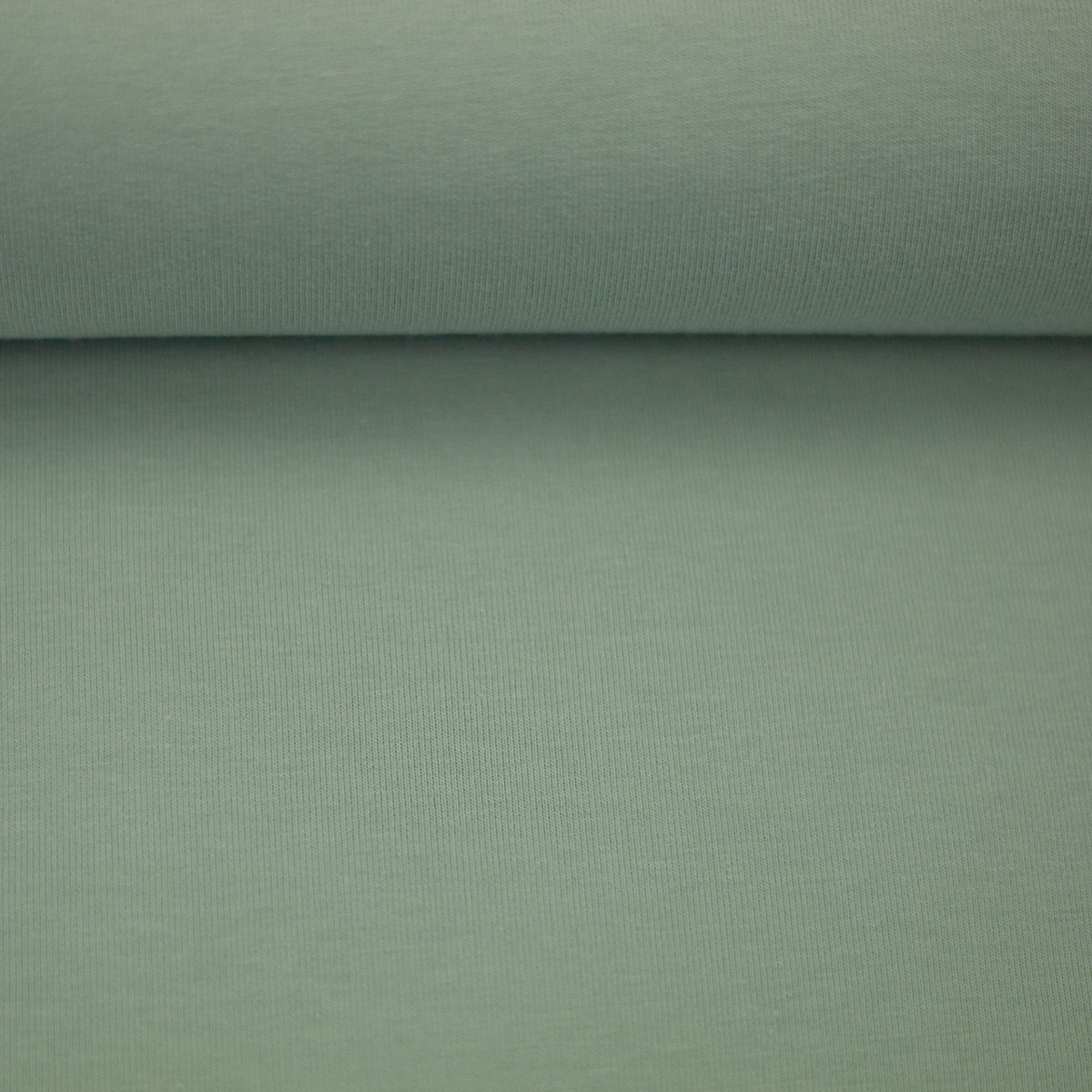 Vanessa Cotton Jersey Vintage Mint Green