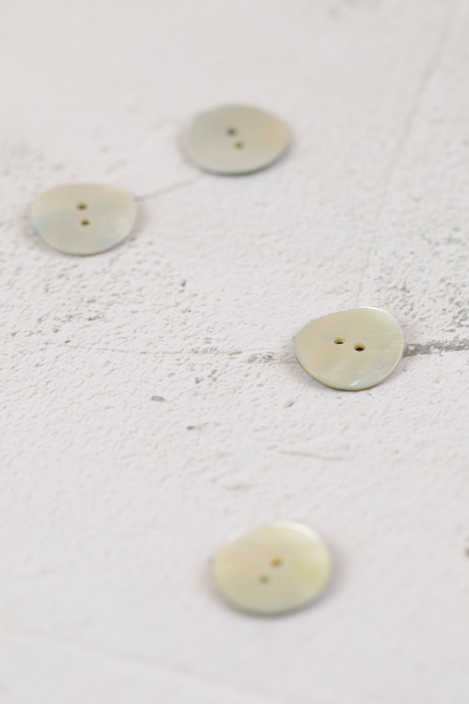 Shell Sew Thru 2 Hole White
