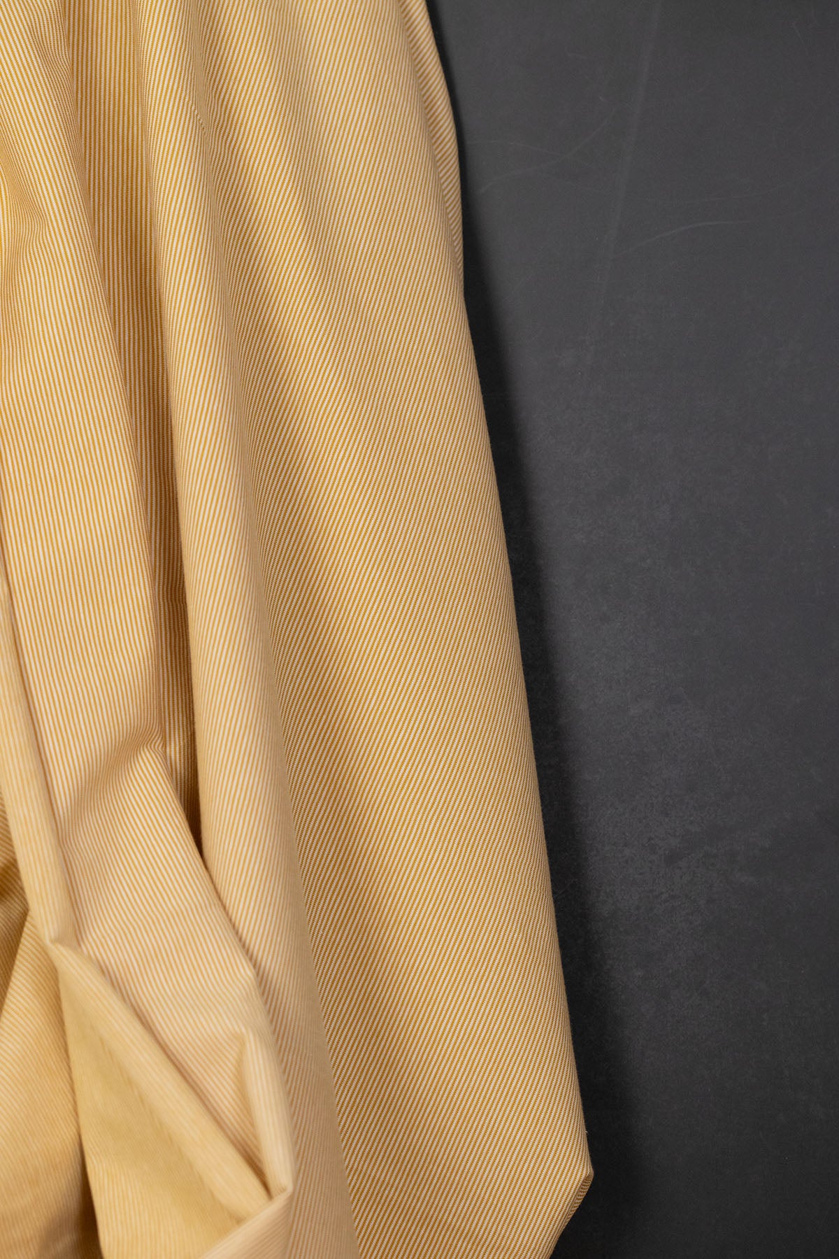 Bella Yarn Dyed Cotton Jersey Goldenrod/White