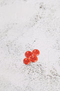 Corozo 4 Hole Red