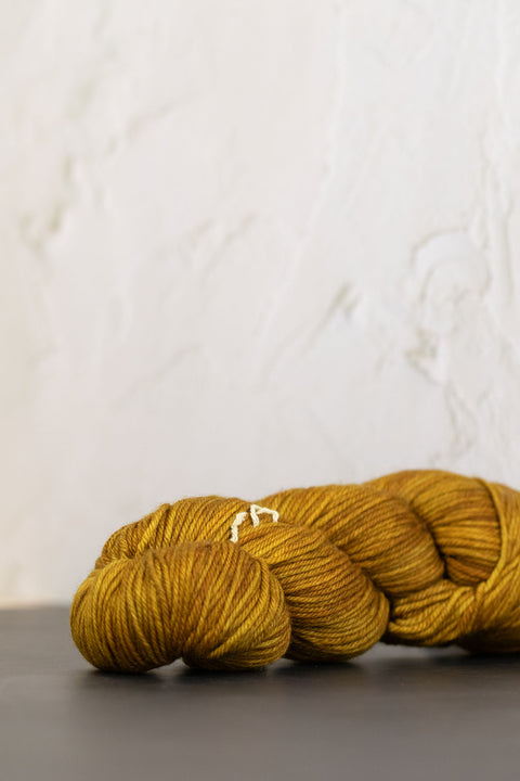 Fiori DK IV #238 Narcissus