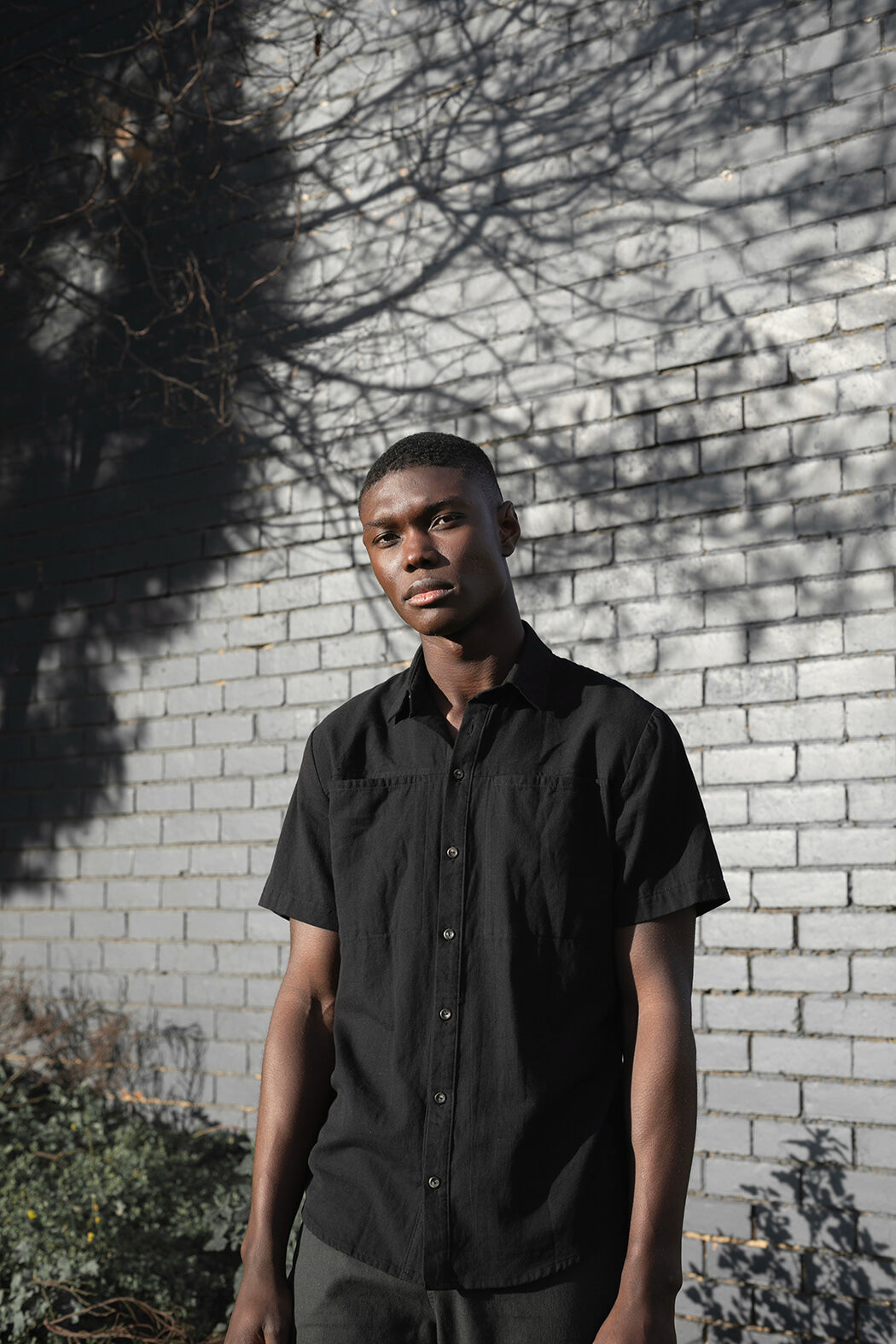 Sanders Button Up