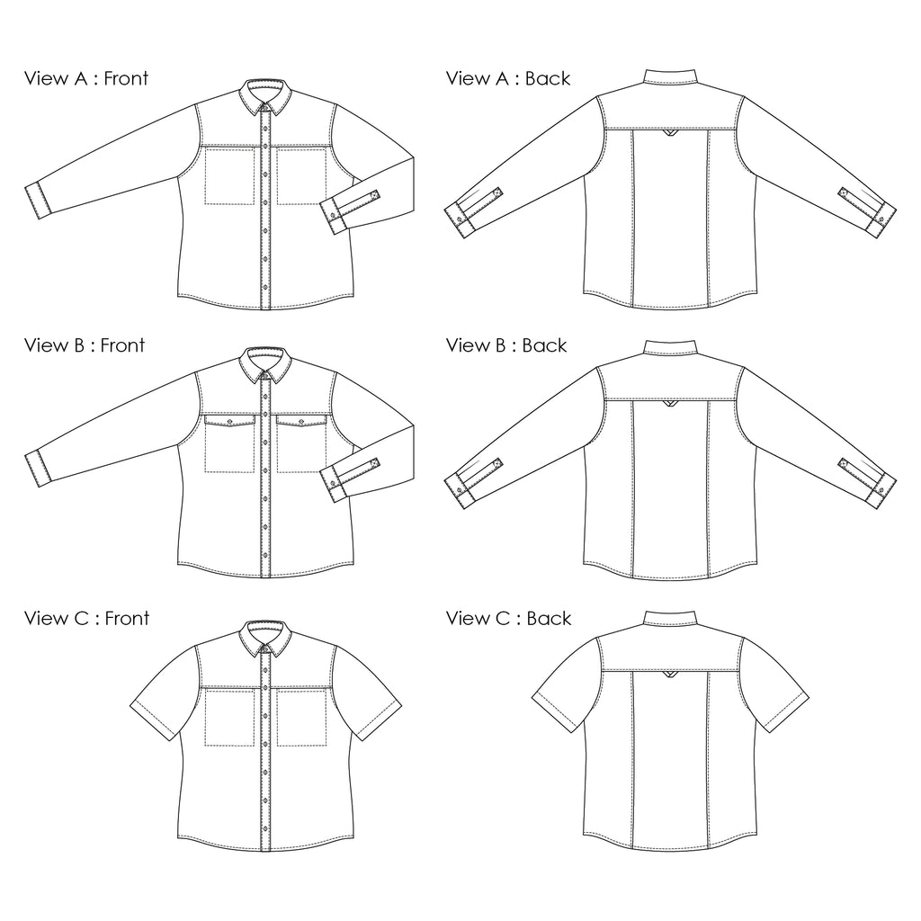 Sanders Button Up